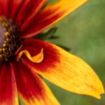 和岳母激情 mdivbxly9