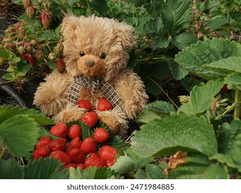 和嫂子同居的日子