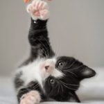 哔哩哔哩1 yhf2kl5e