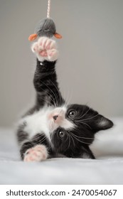 哔哩哔哩1 哔哩哔哩1